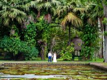 aukštos palmės ir vandens augalai mauricijaus vestuvės